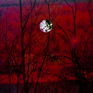 Spillagio Invaded E.P. Artwork with Black Dead Trees and Dark Red Sky